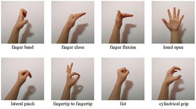 Toward Hand Pattern Recognition in Assistive and Rehabilitation Robotics Using EMG and Kinematics